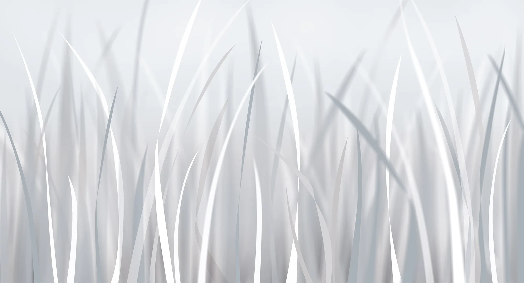 Фотообои Creativille CV-423806 (Young grass 423806)