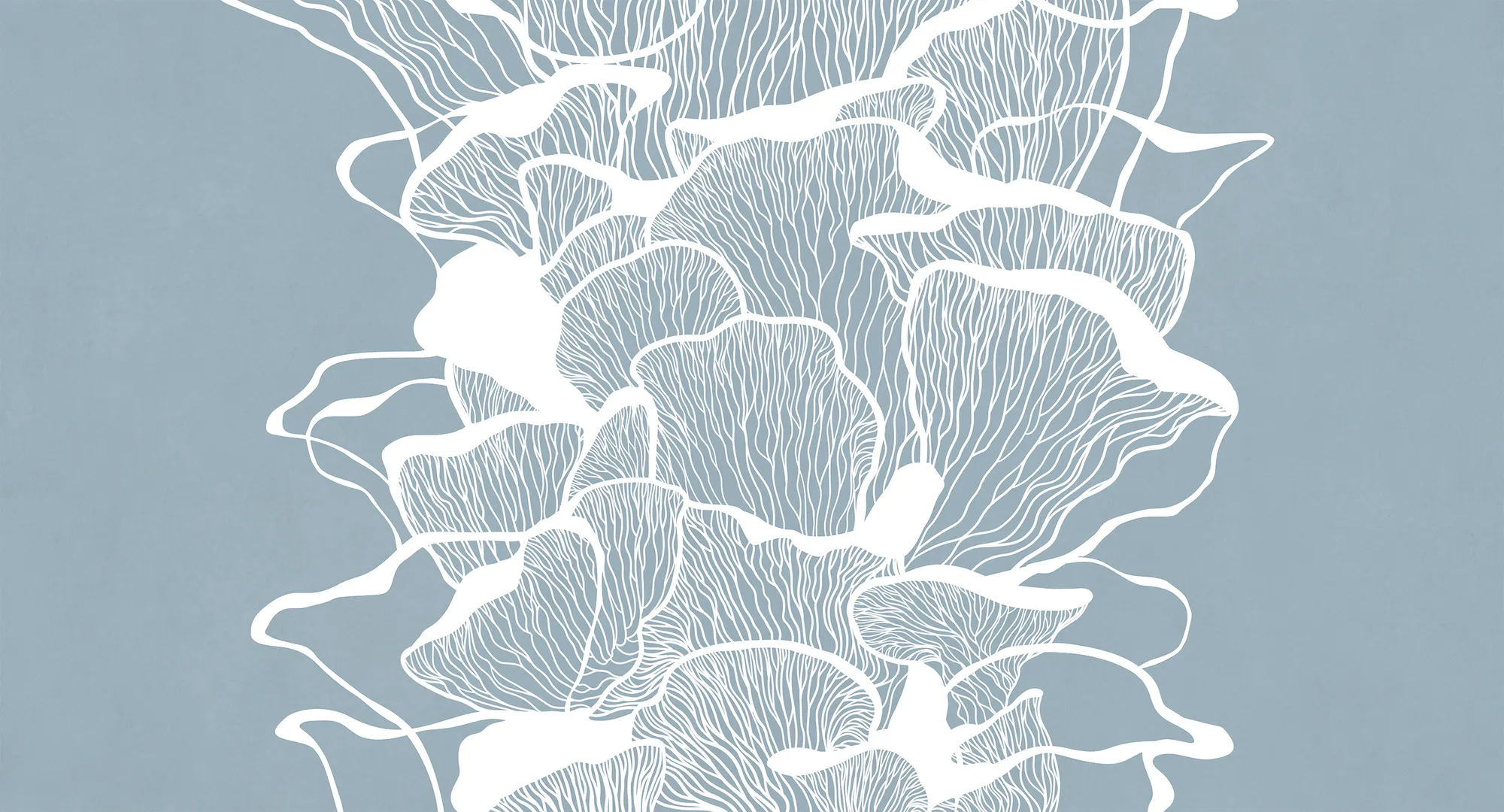 Фотообои Creativille CV-429502 (Oyster mushrooms 429502)