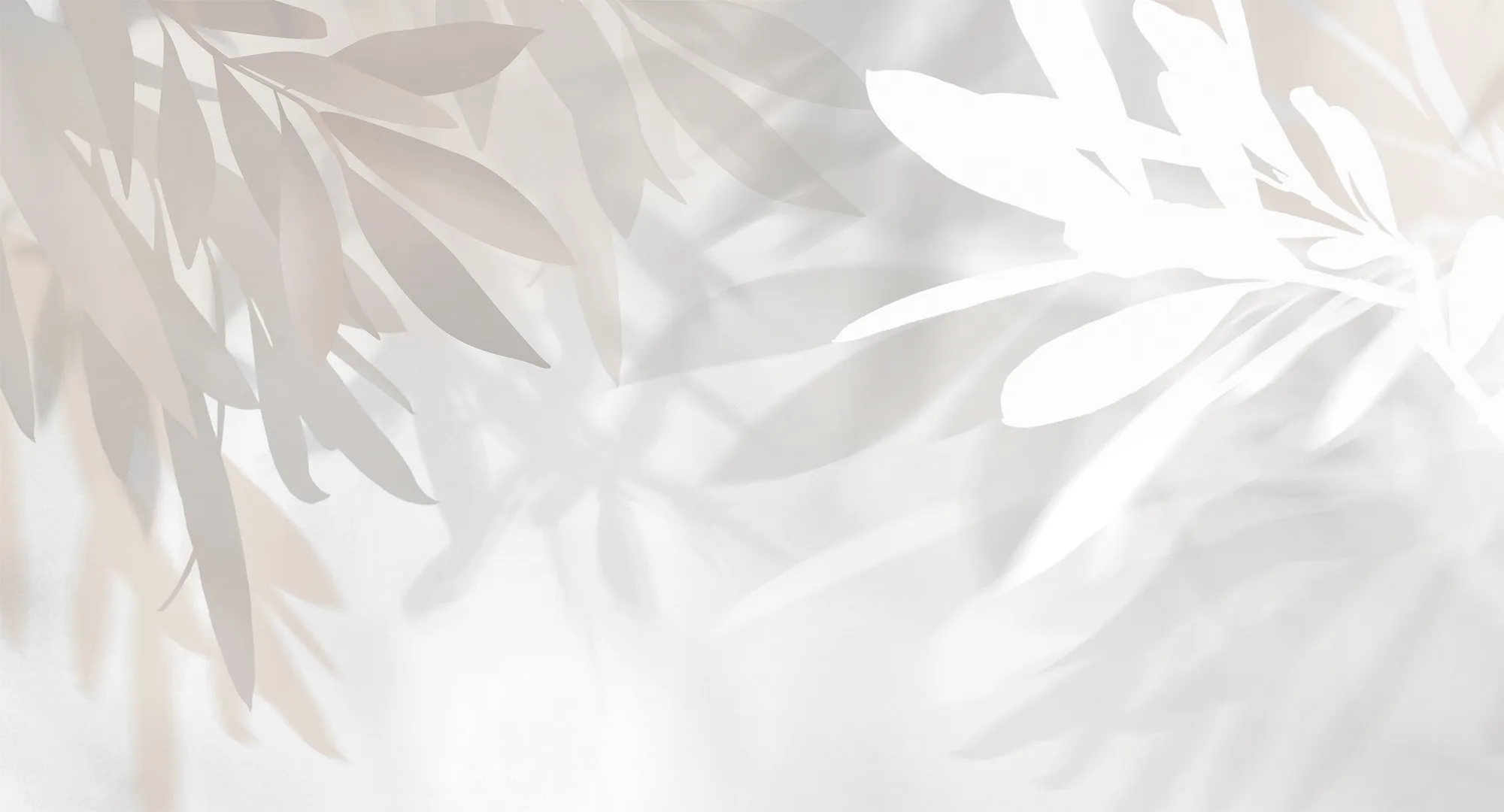 Фотообои Creativille CV-435001 (Olive leaves 435001)