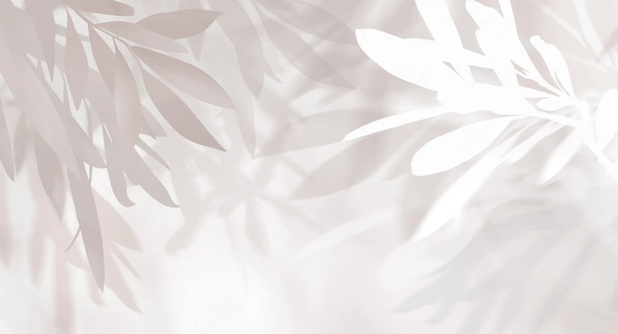 Фотообои Creativille CV-435005 (Olive leaves 435005)