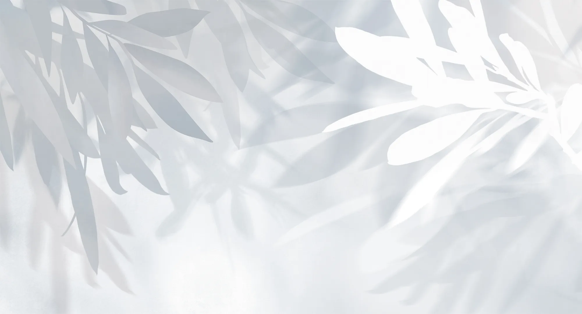 Фотообои Creativille CV-435007 (Olive leaves 435007)