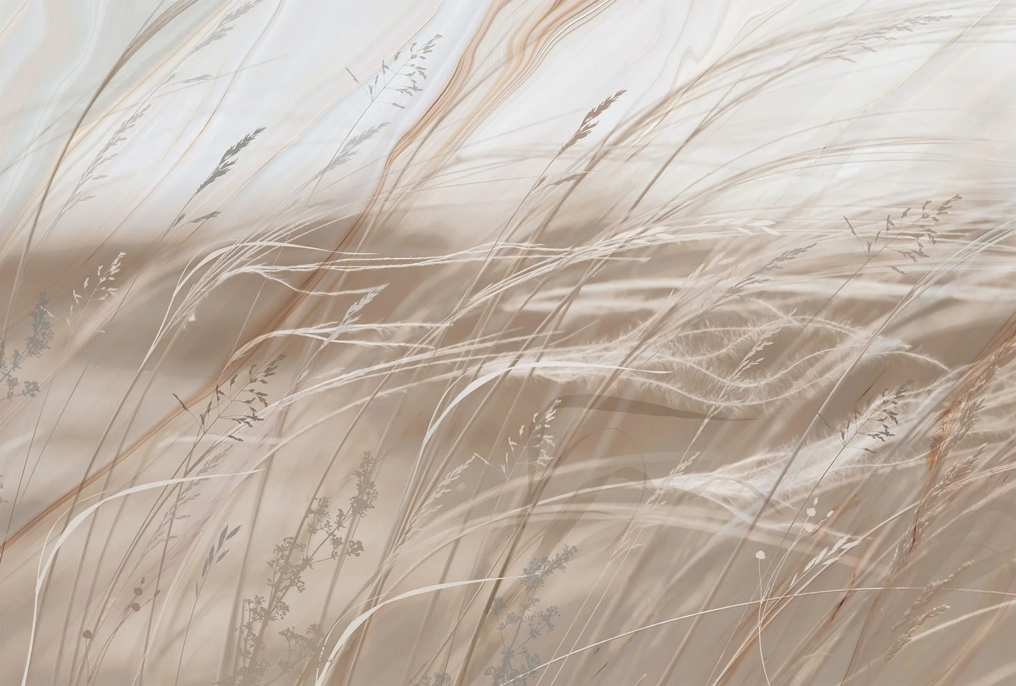 Фотообои Creativille CV-442401 (Wavy grass 442401)