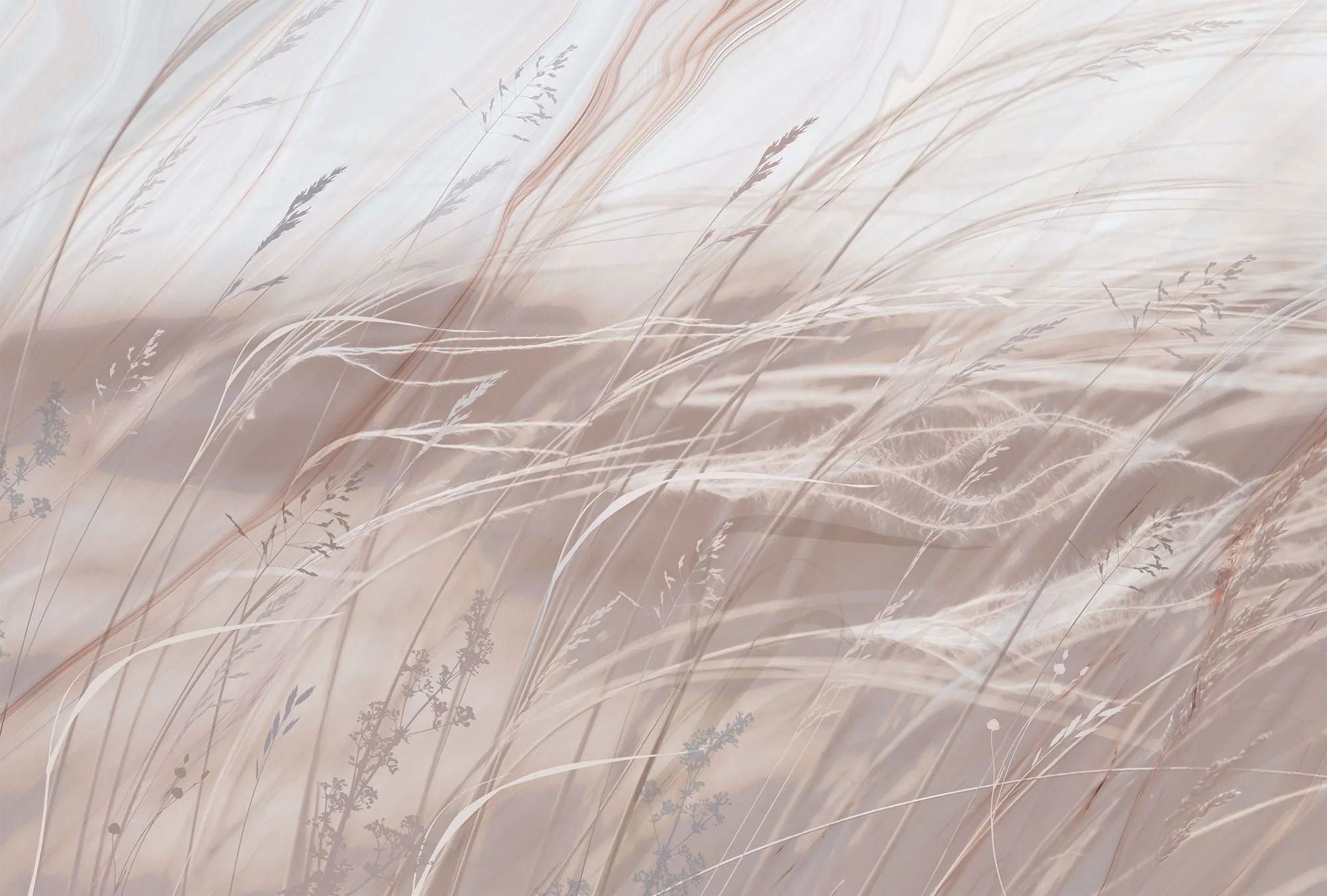 Фотообои Creativille CV-442404 (Wavy grass 442404)