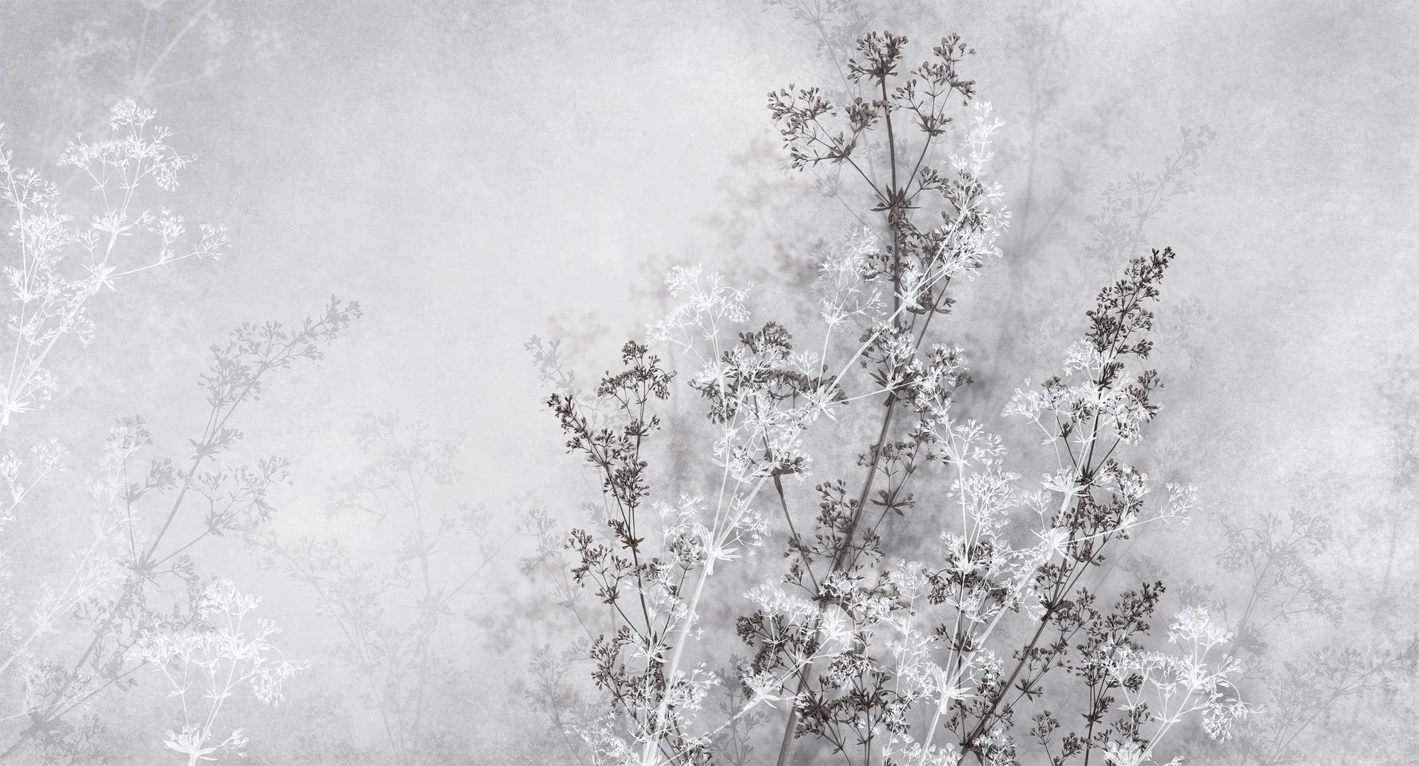 Фотообои Creativille CV-445005 (Grunge grass 445005)