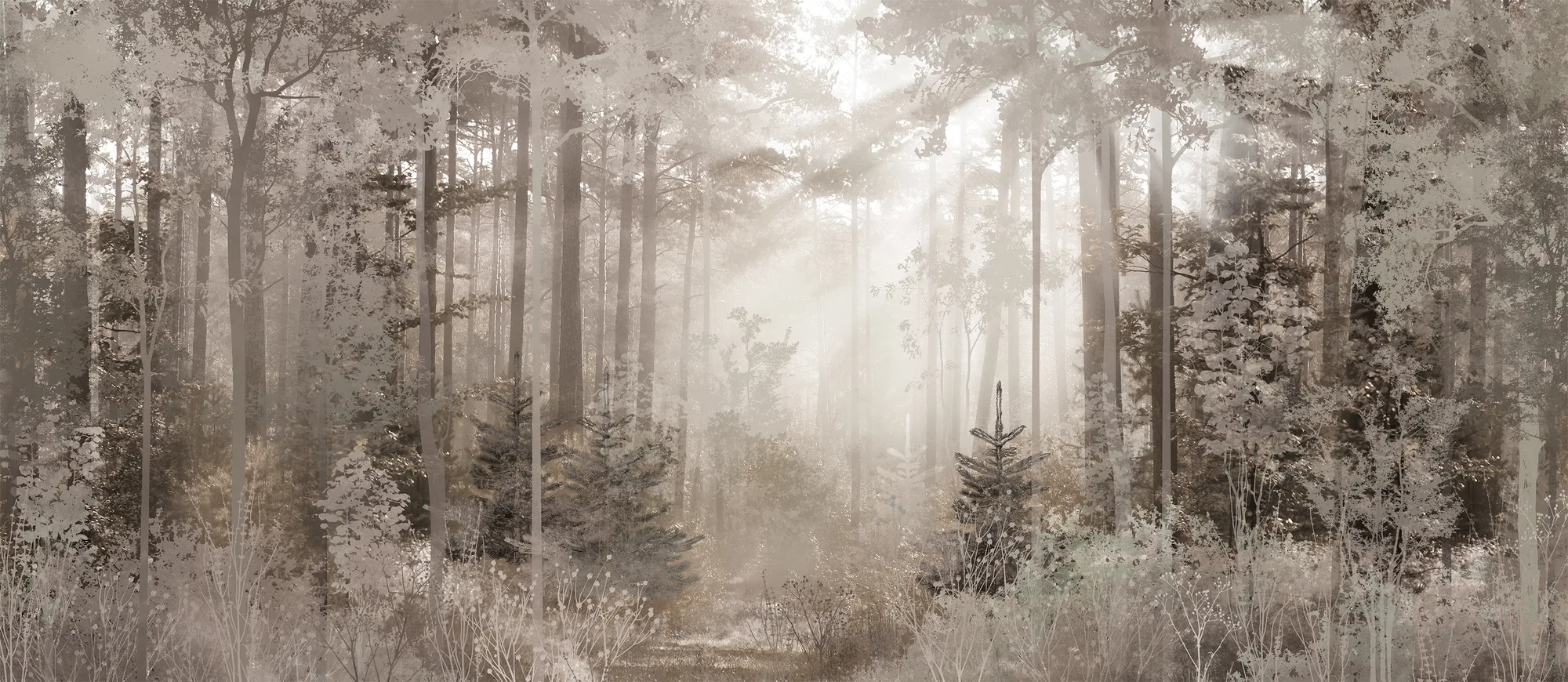 Фотообои Creativille CV-490203 (Pine forest 490203)