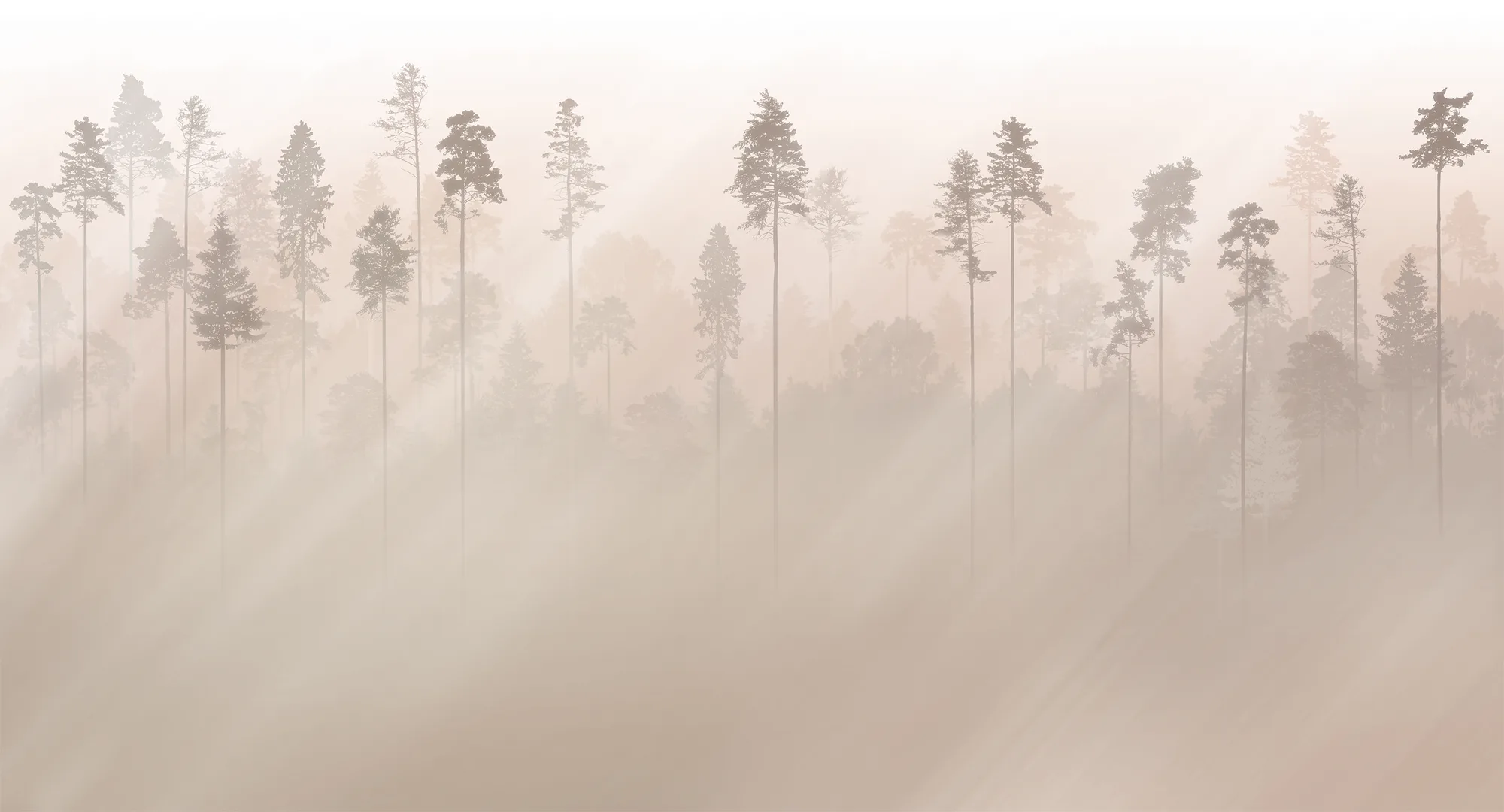 Фотообои Creativille CV-493504 (Sunny pine forest 493504)