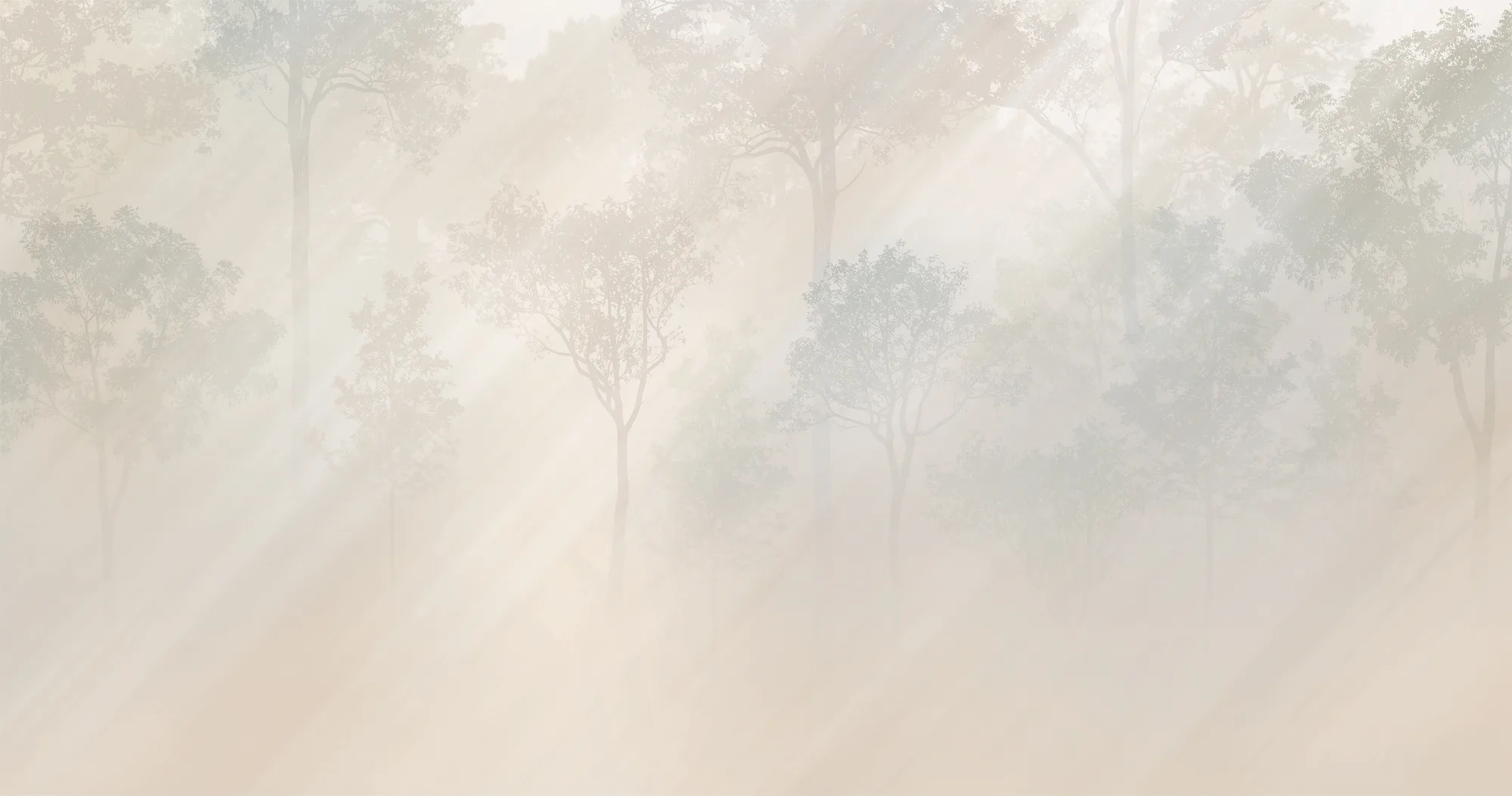 Фотообои Creativille CV-494104 (Morning rays in trees 494104)