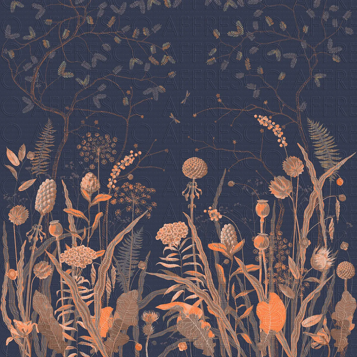 NR26-COL2