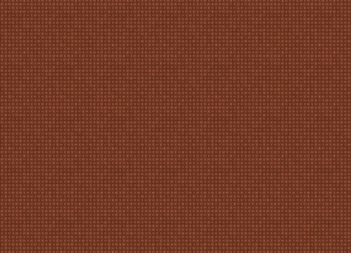 Mini Trend вблизи