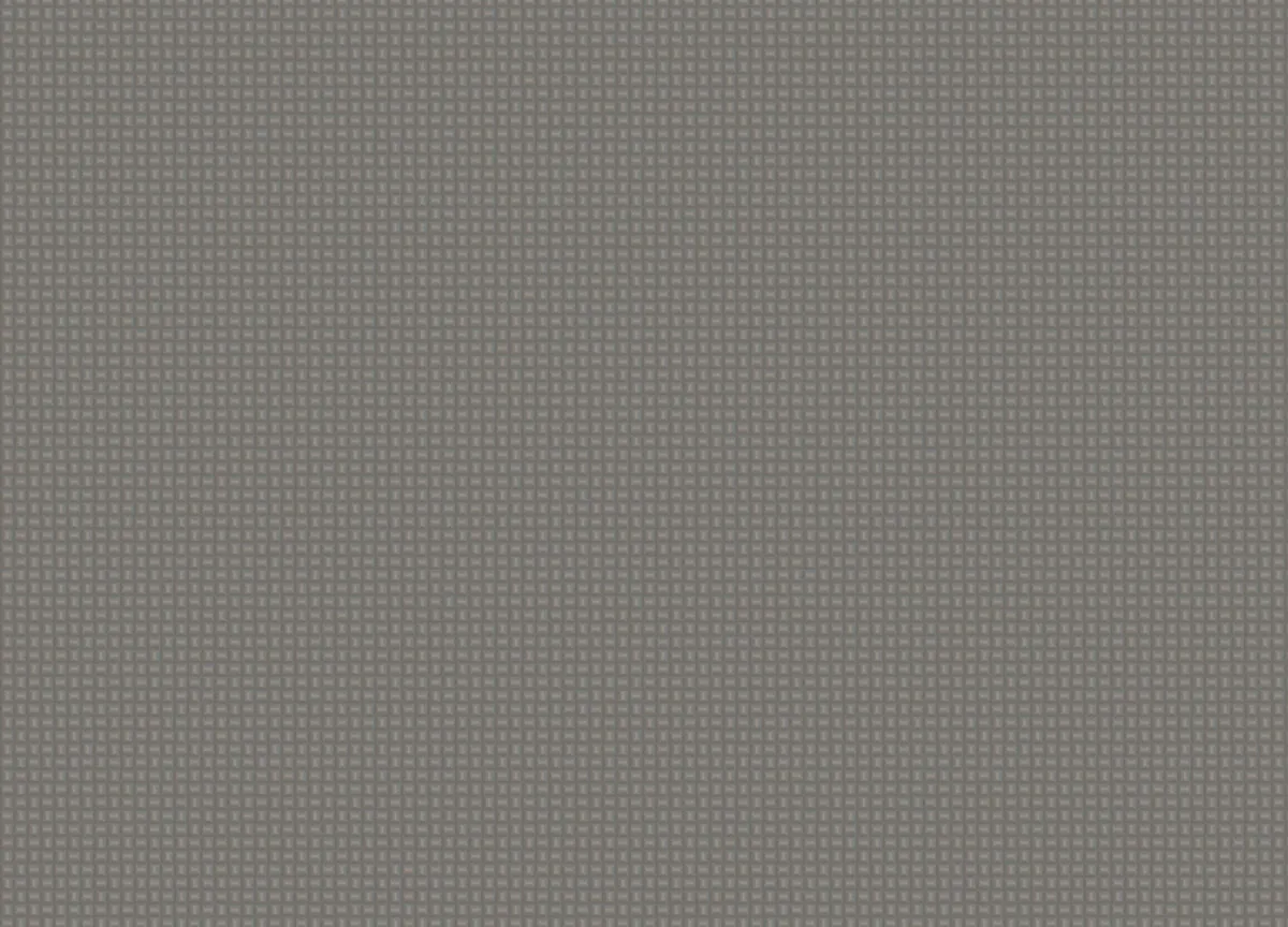 Mini Trend