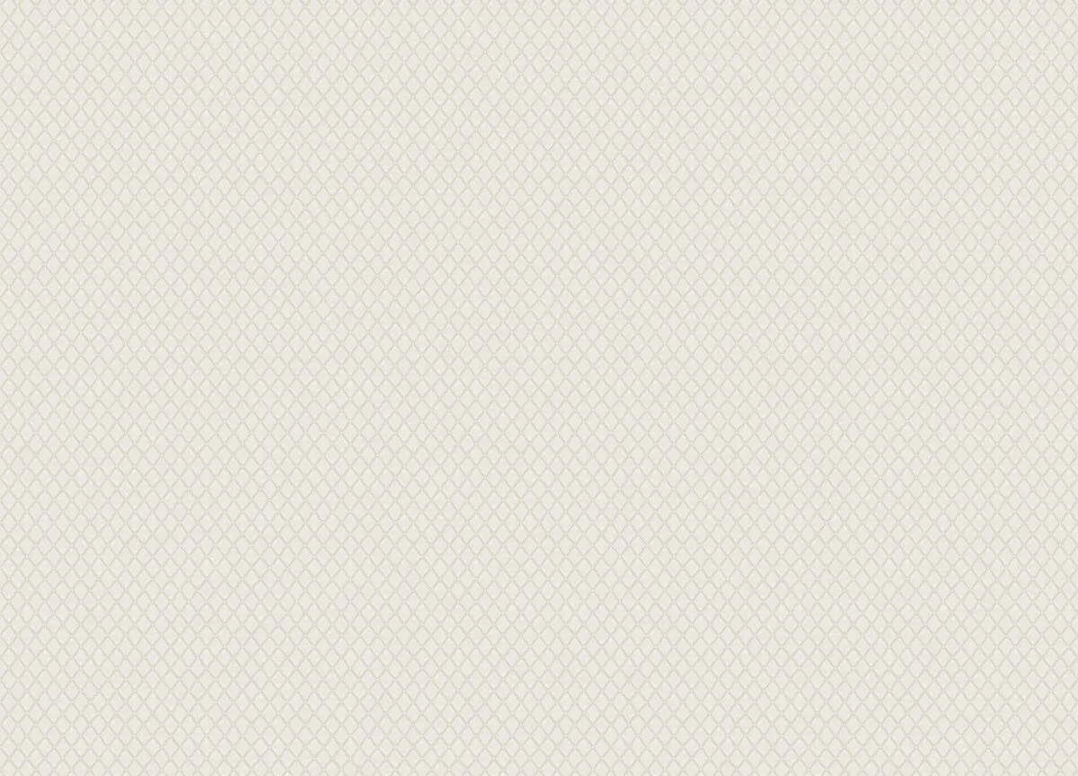 Mini Trend вблизи