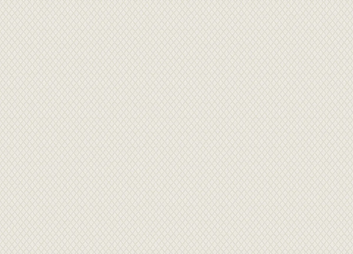 Mini Trend