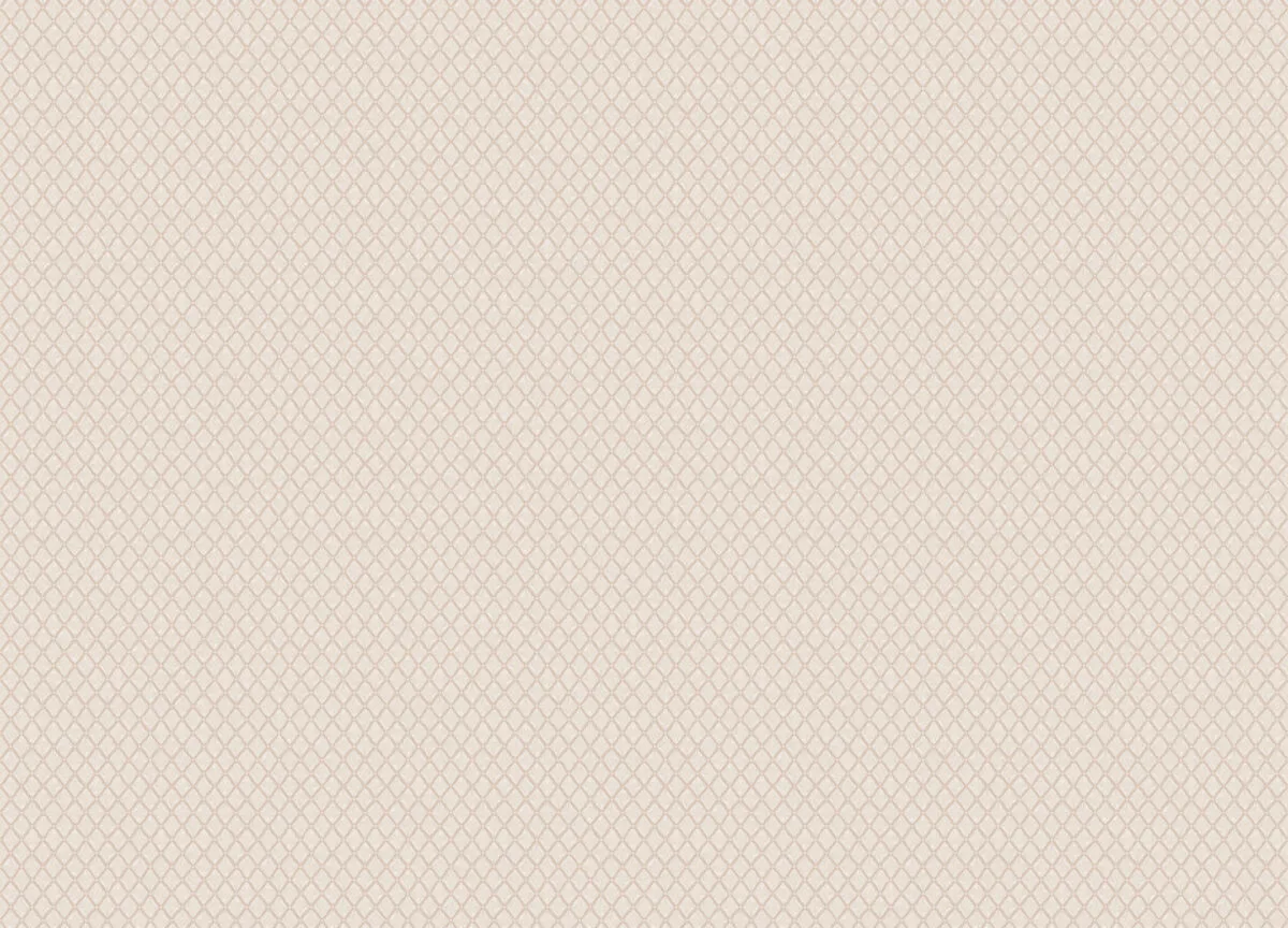 Mini Trend