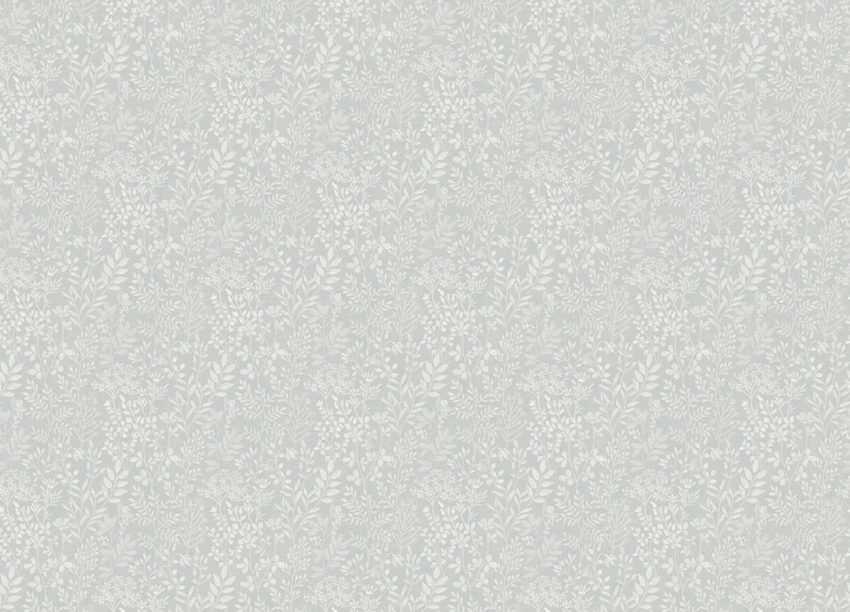 205001