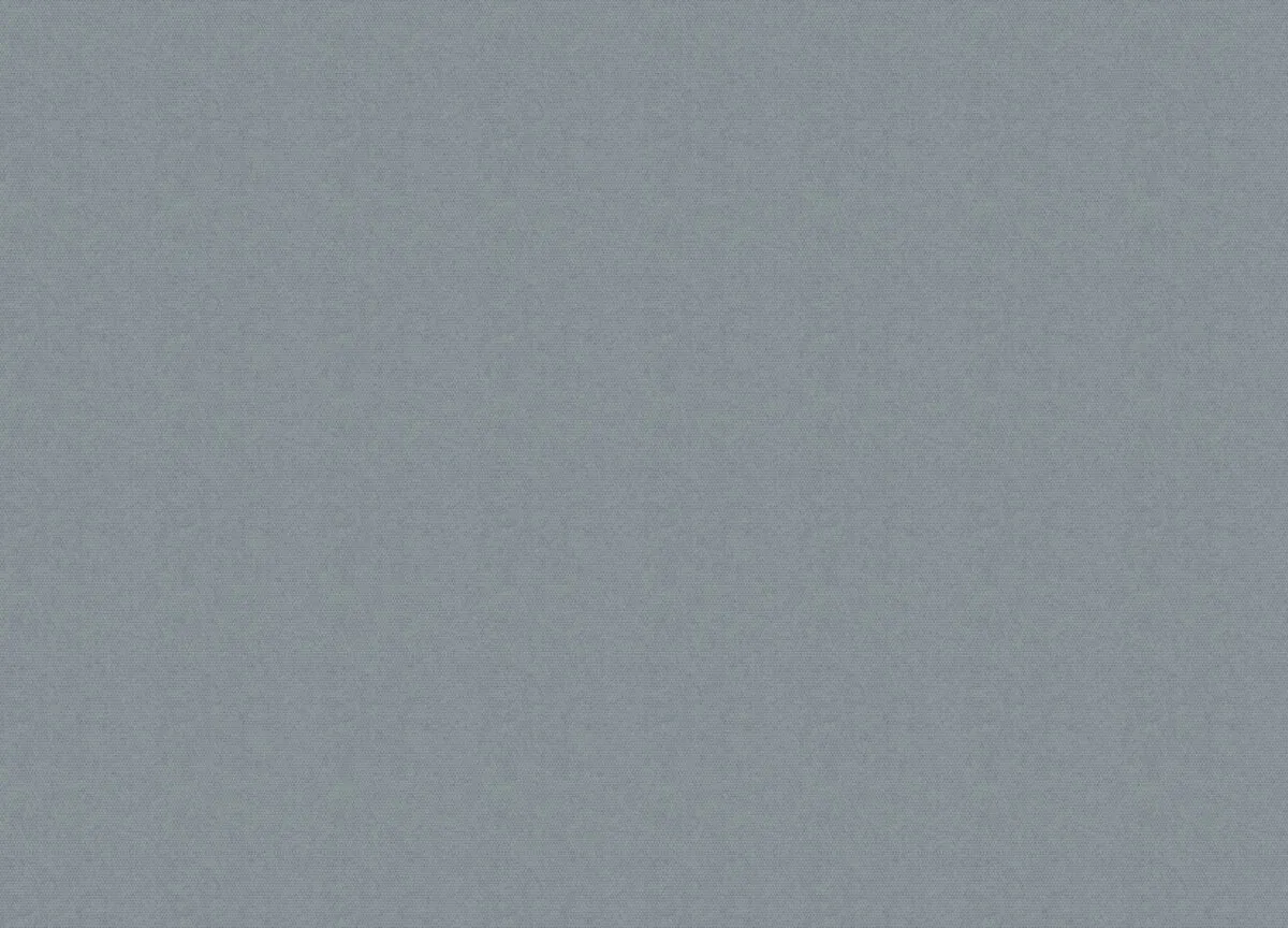30069