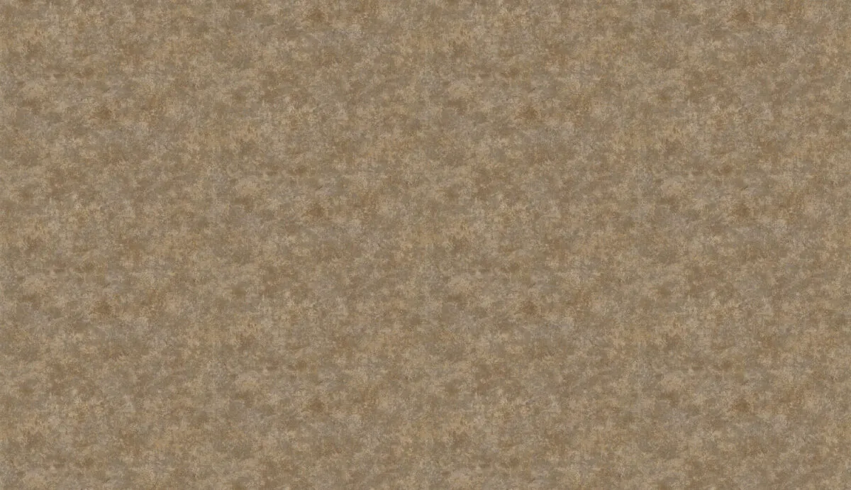 33204