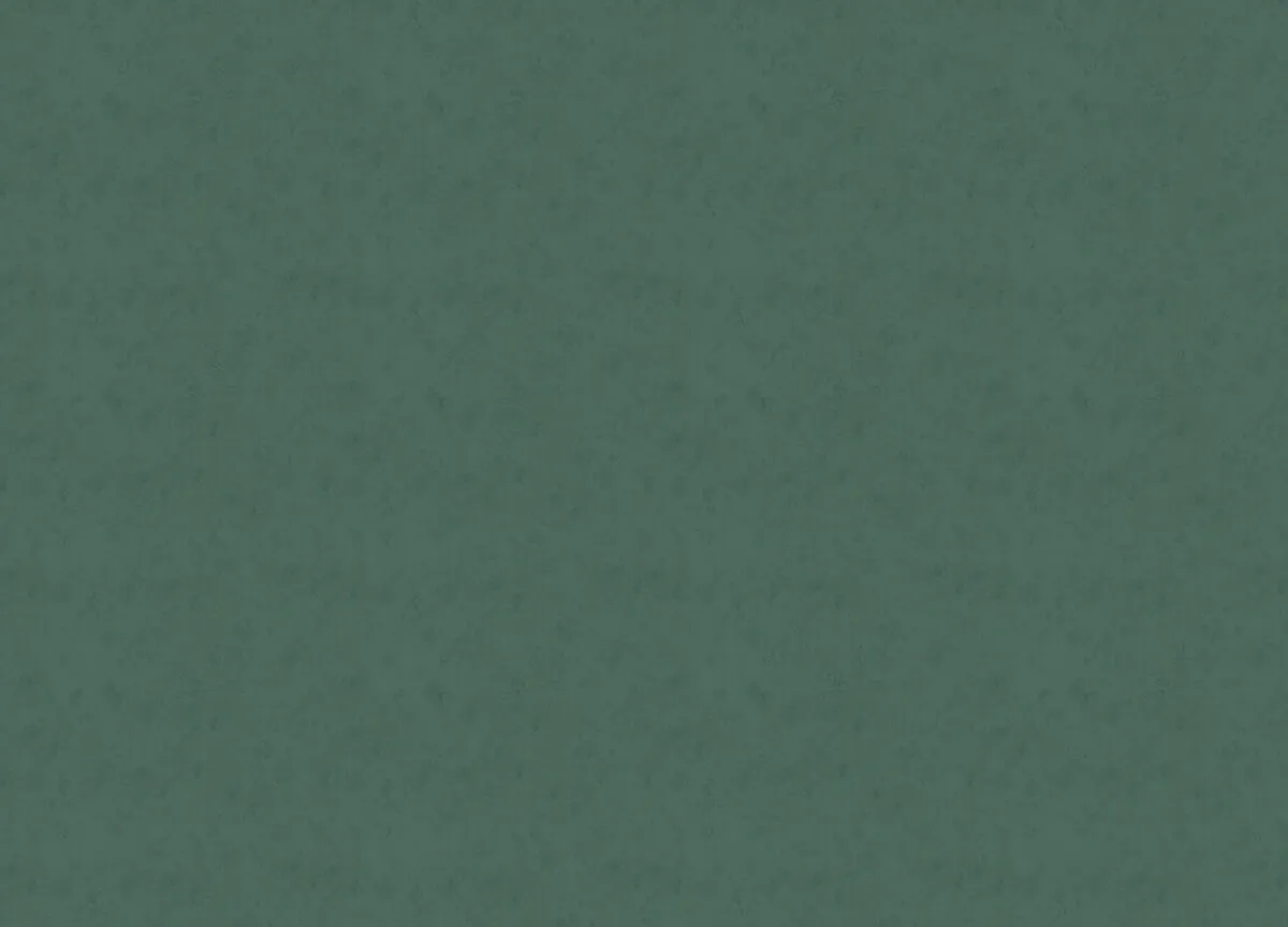 33732