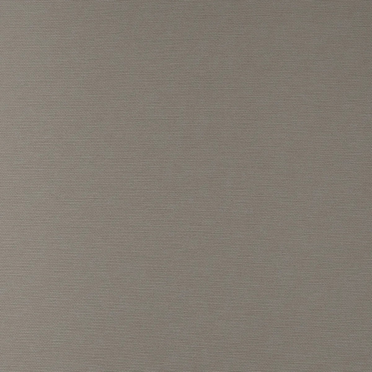 Бергги