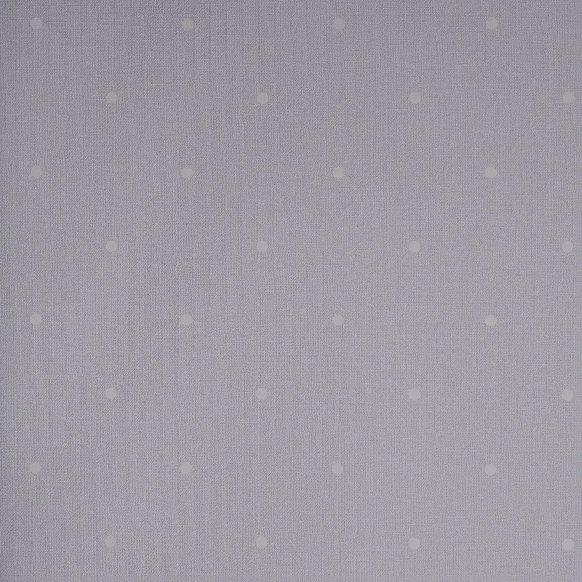 Спектрум Бокс