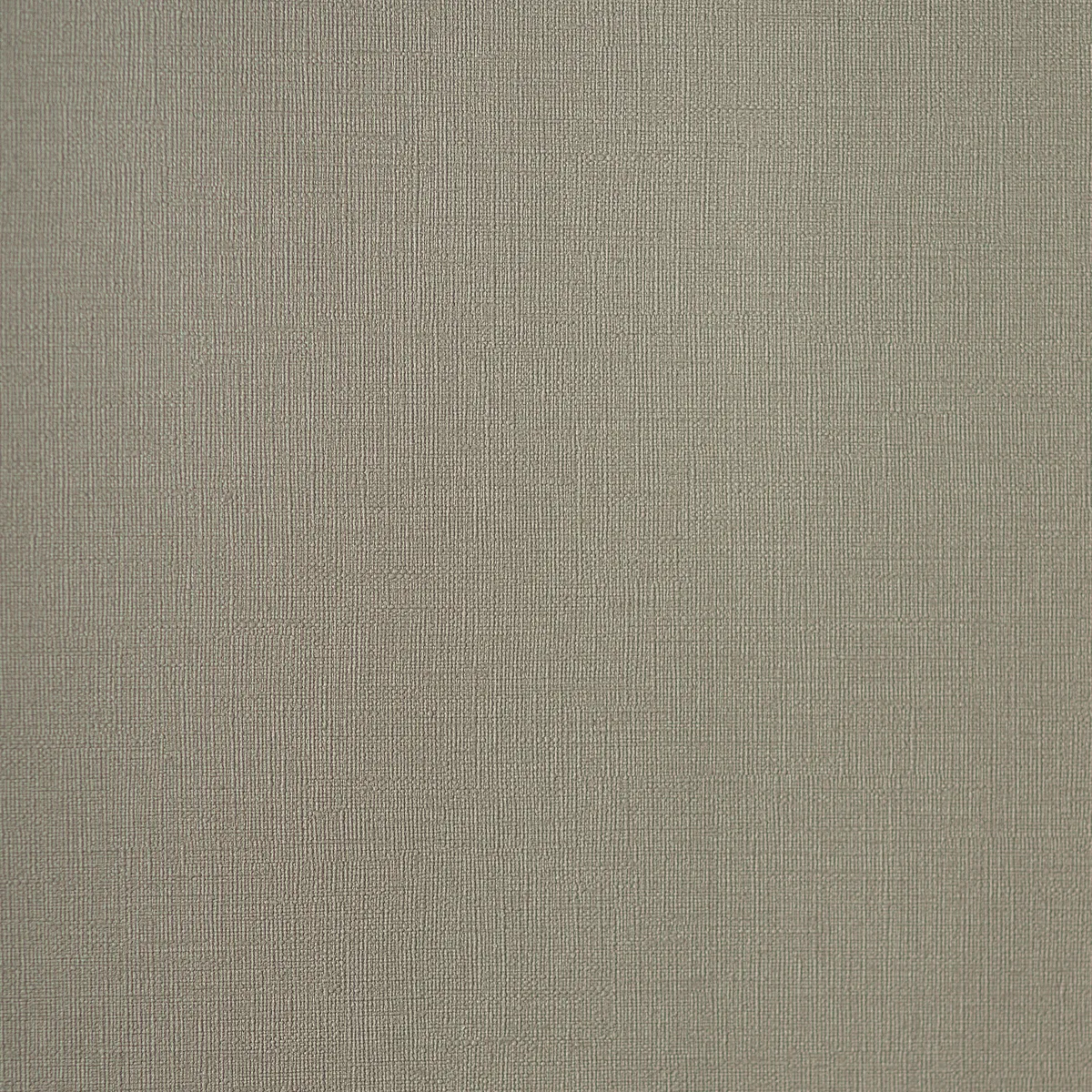 Пальмария