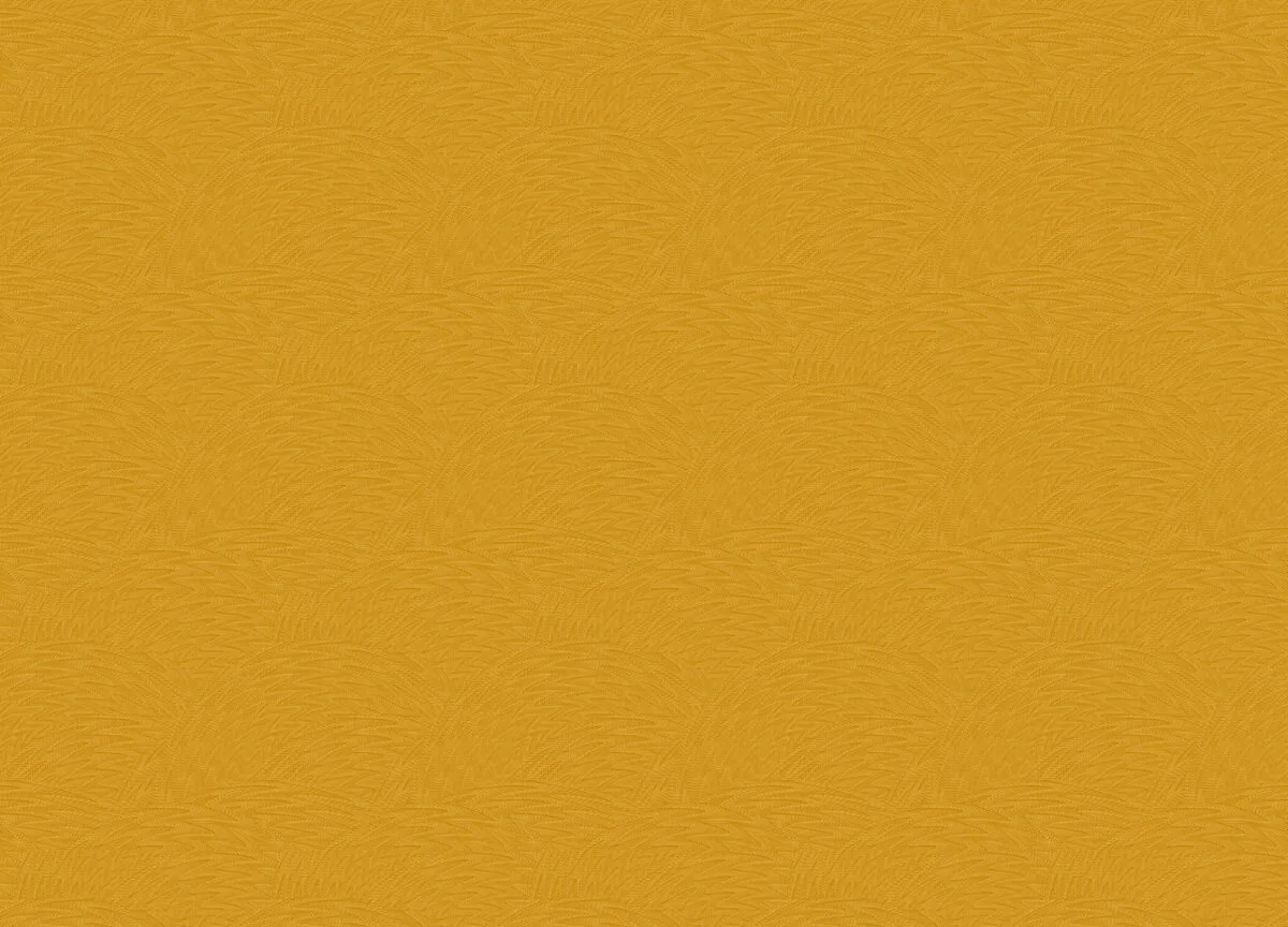 Savana вблизи