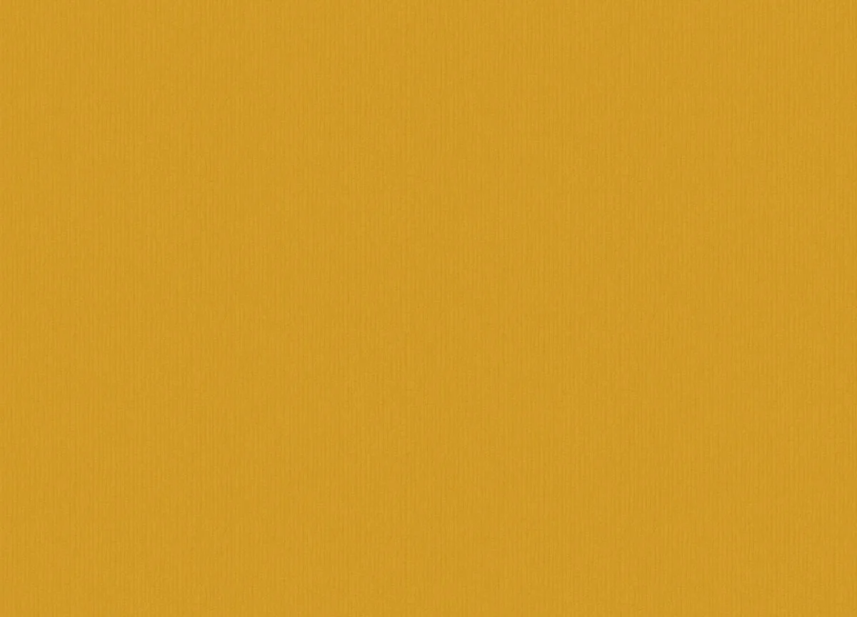 Savana вблизи