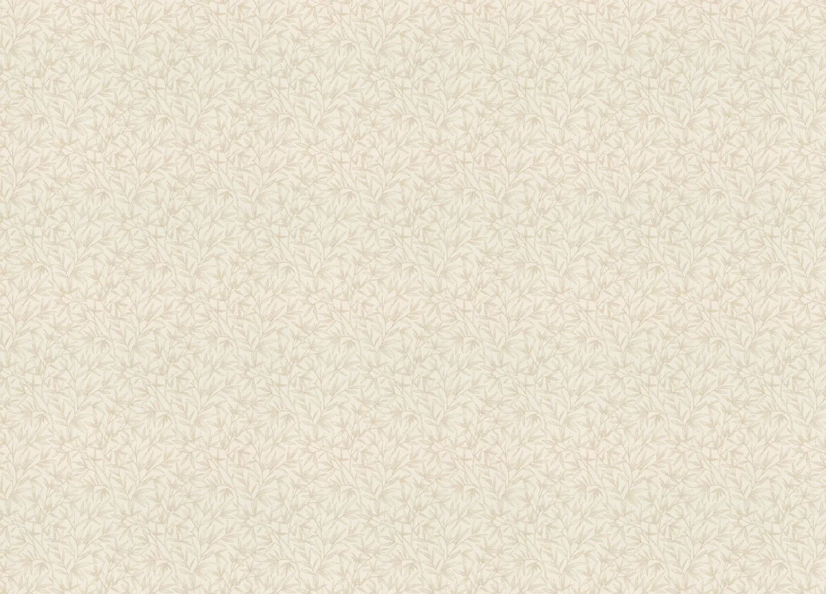 Novella