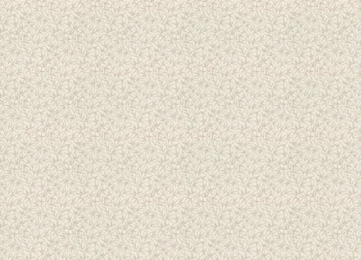 Novella