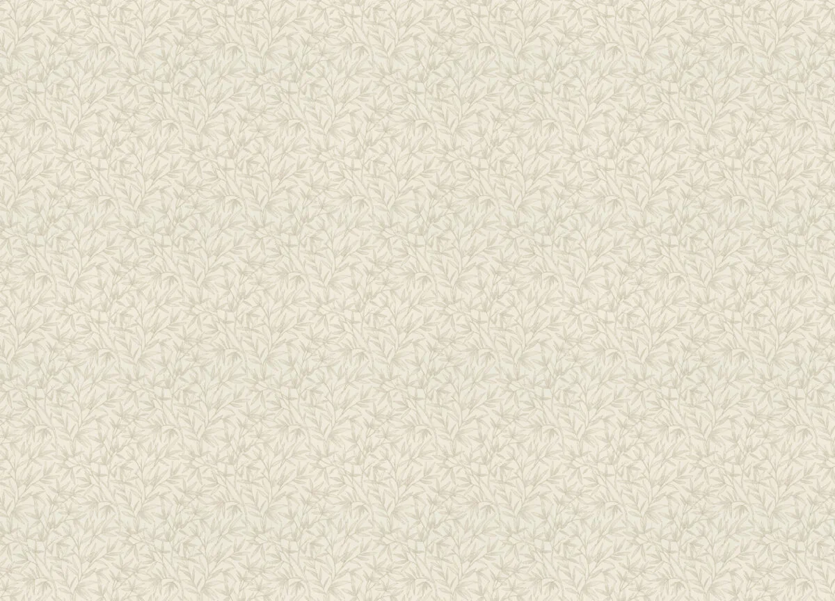 Novella вблизи