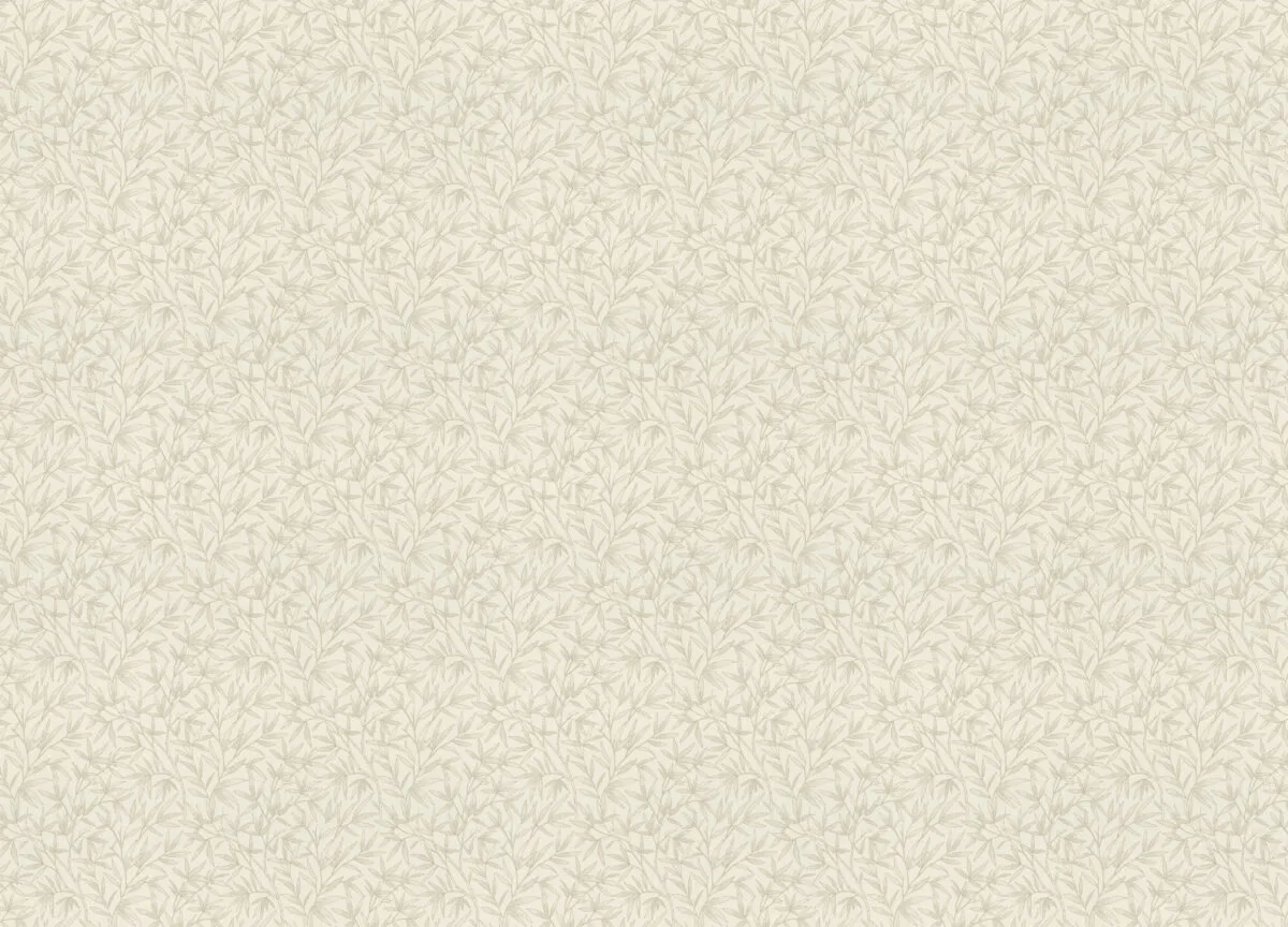 Novella
