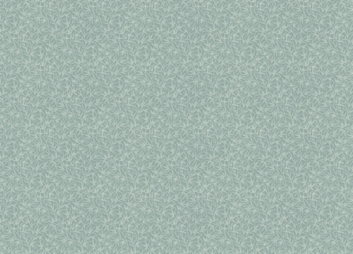 Novella