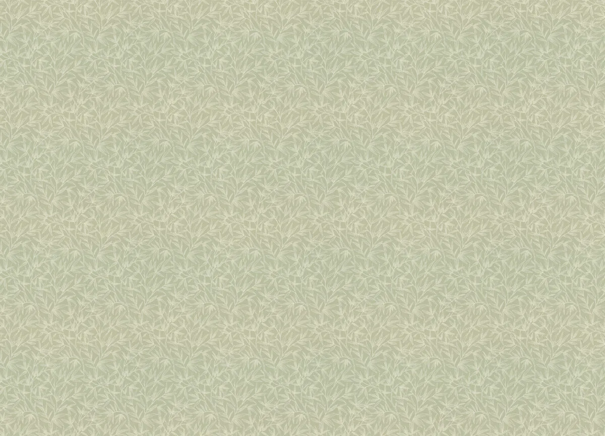 Novella