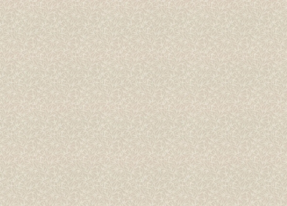 Novella вблизи