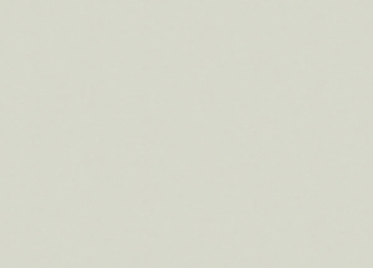 98801