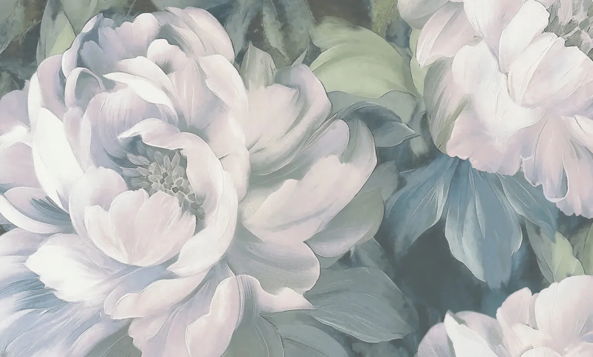 Anita