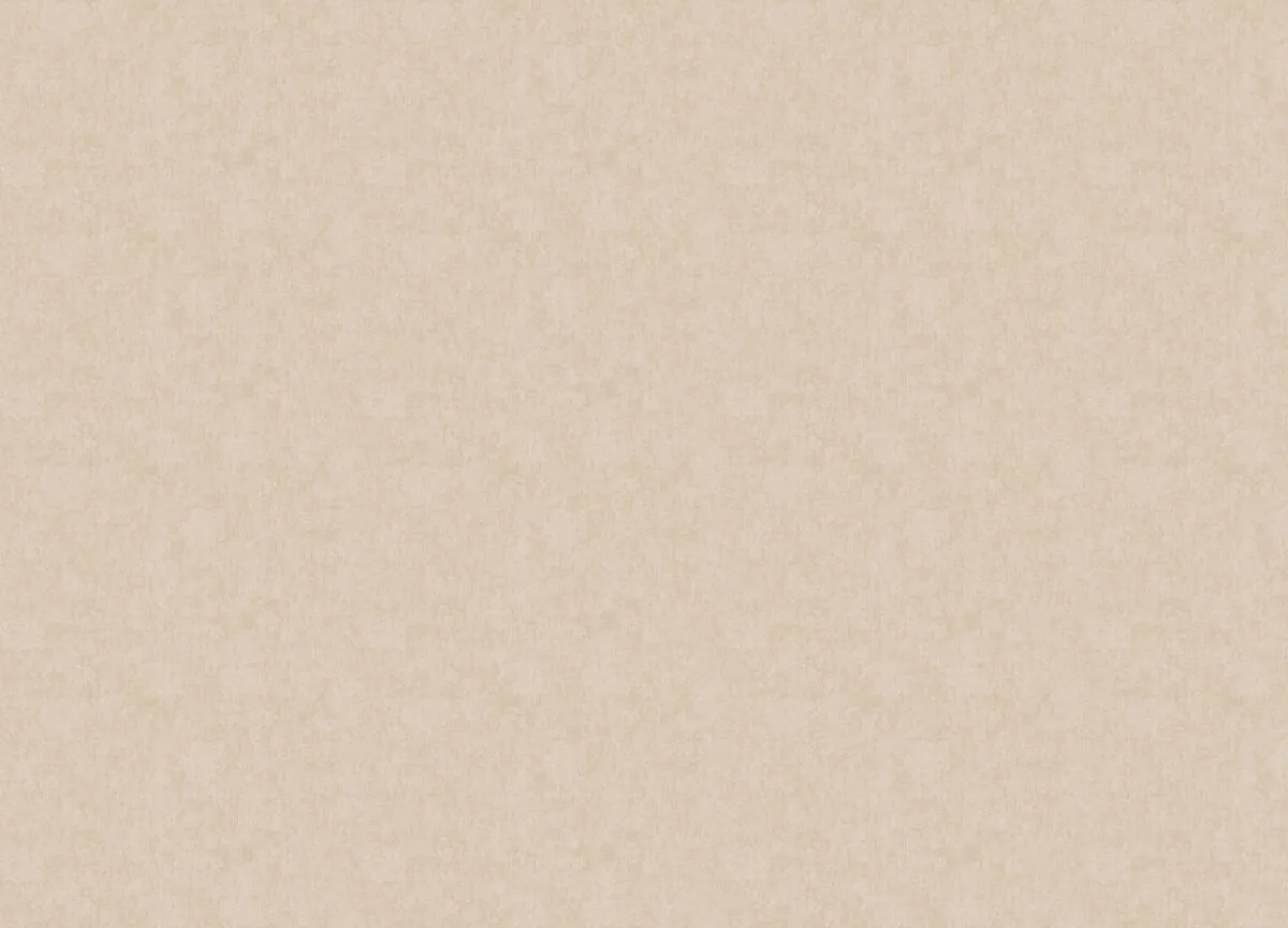 ARTS13 004