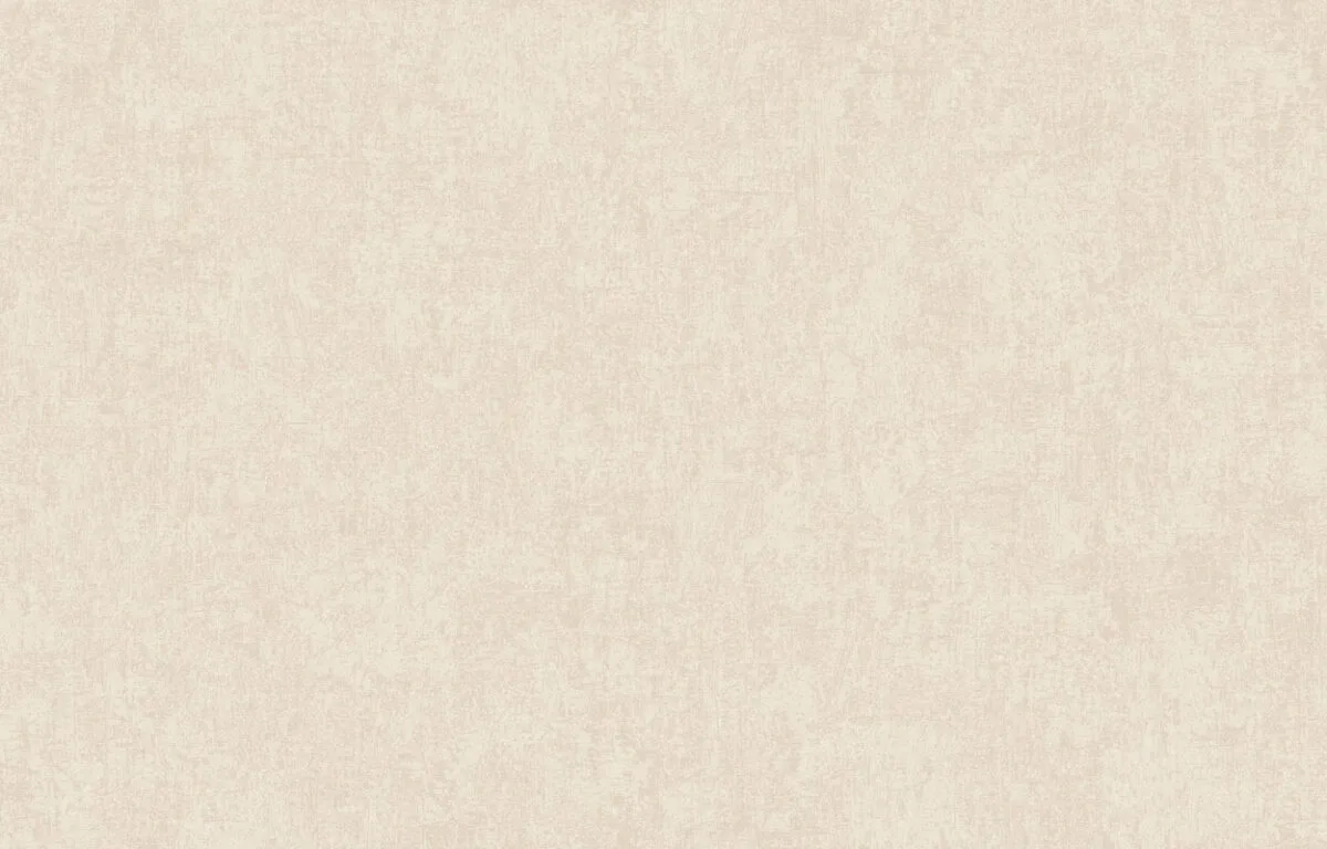 Holidays вблизи