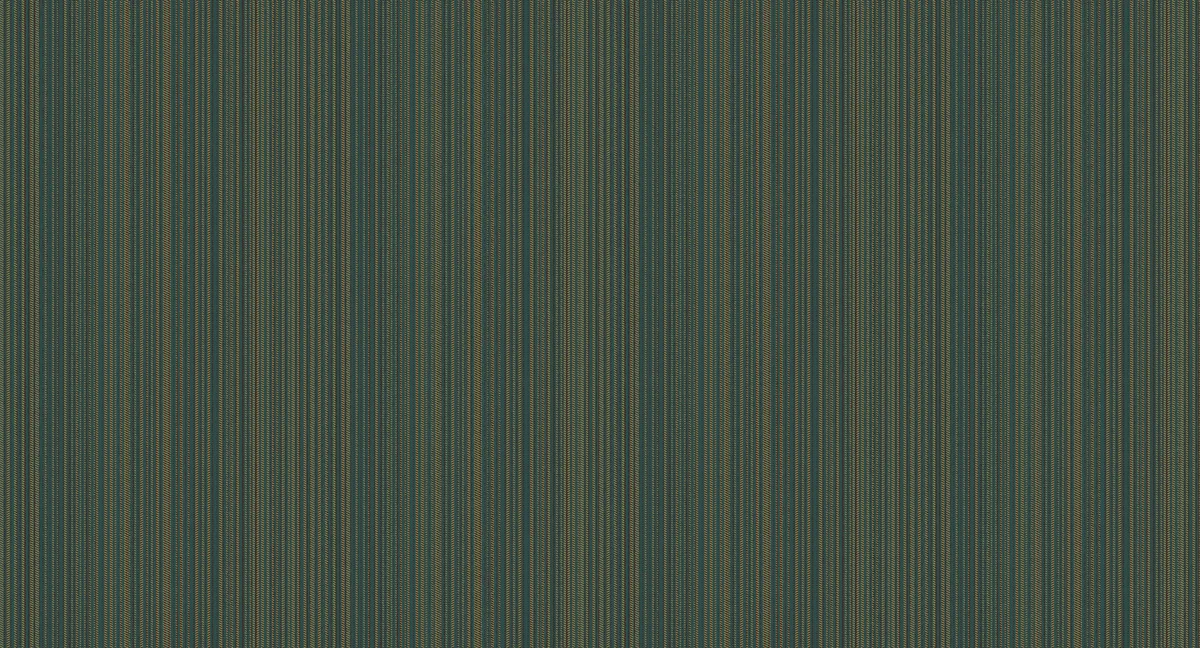 CLR8 005