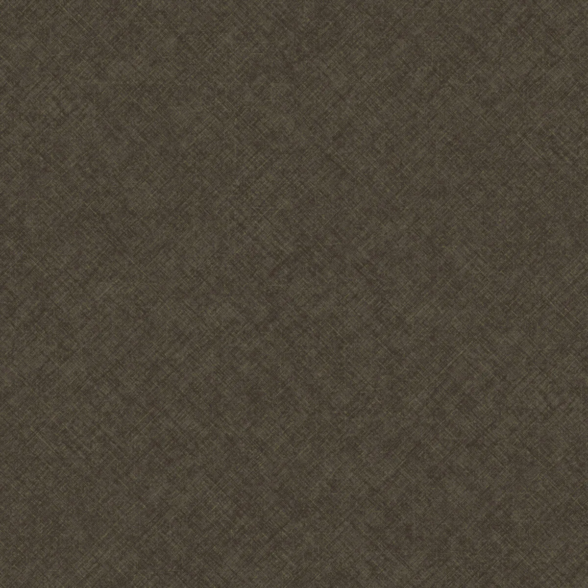 Concept вблизи