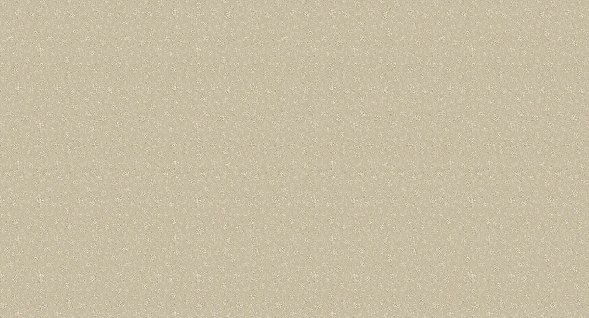 V3 008