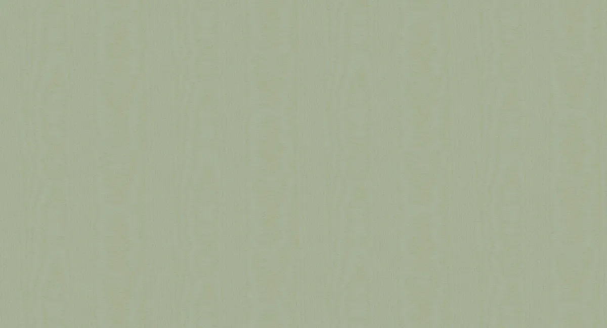 V5 005/1