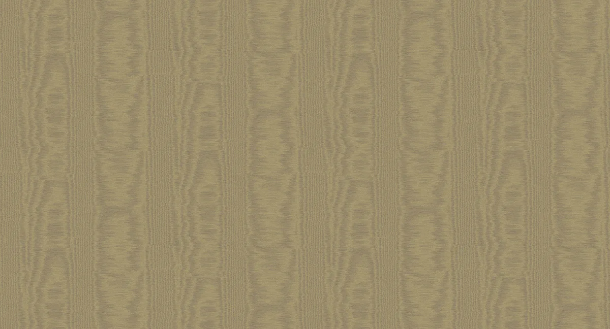 V5 010