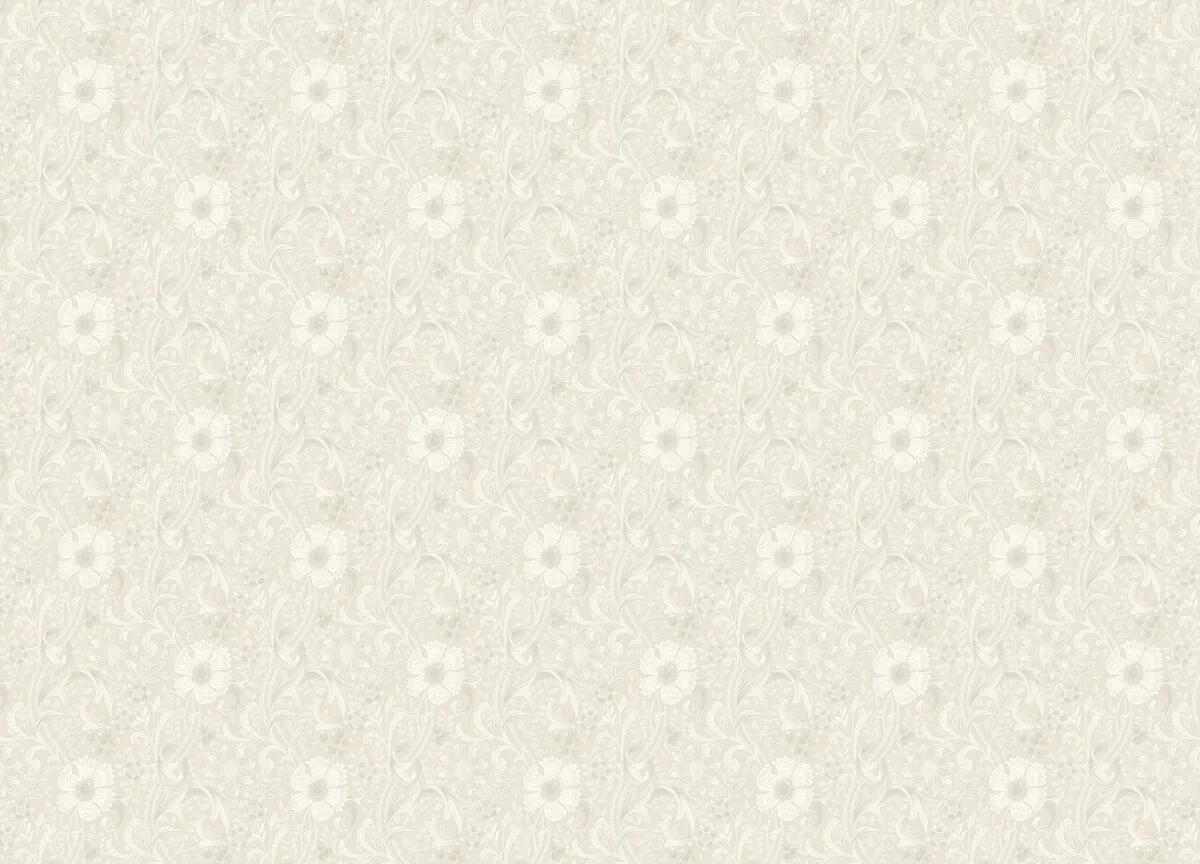 PH 3101