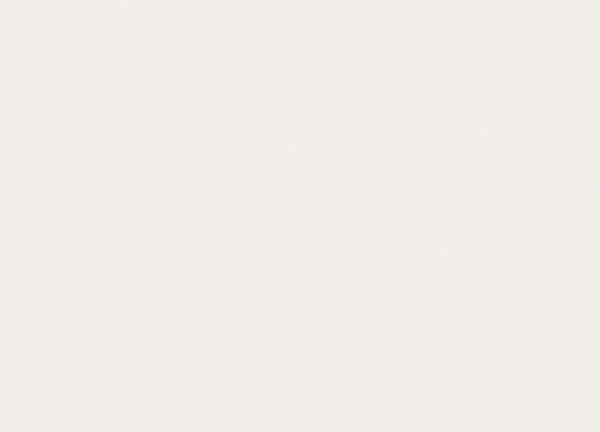 Special Edition вблизи