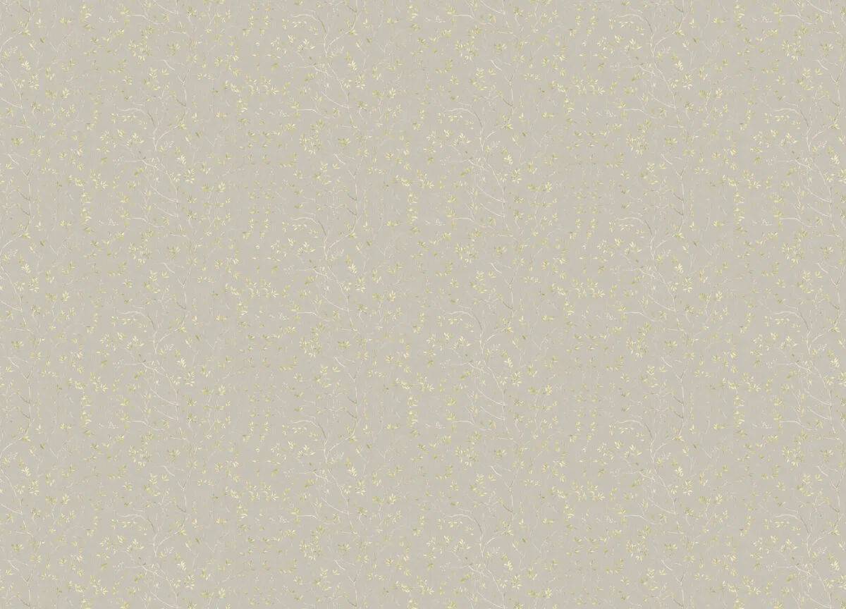 Special Edition вблизи