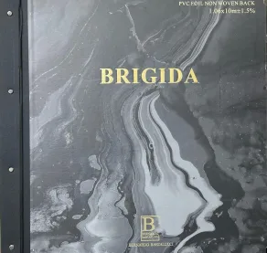 Лукбук коллекции Brigida