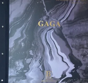 Лукбук коллекции Gaga