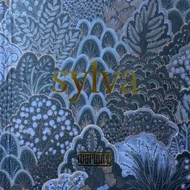 Лукбук коллекции Sylva