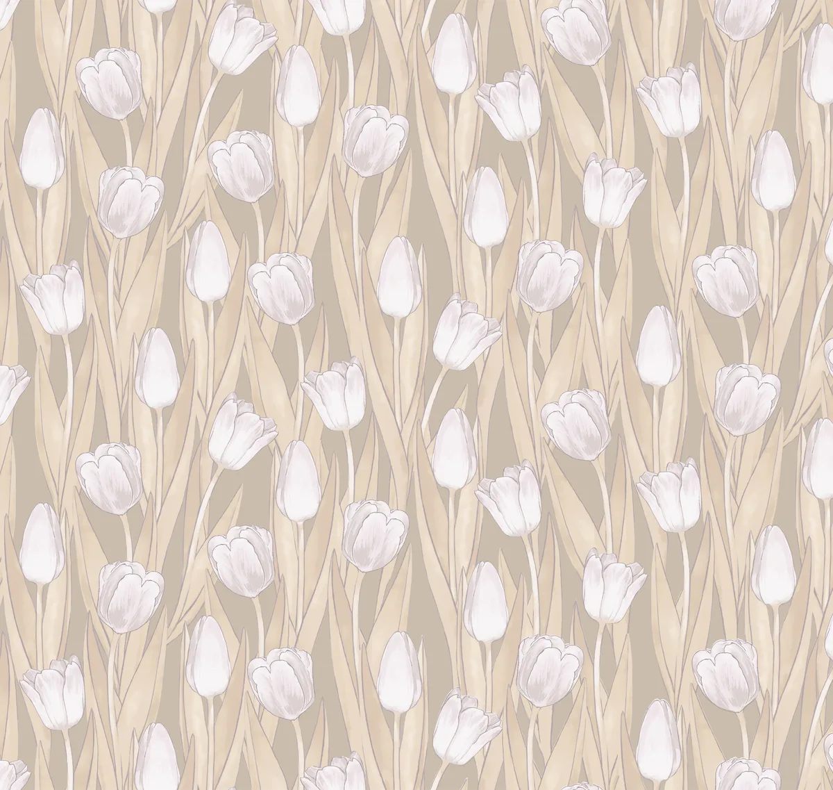 Swan