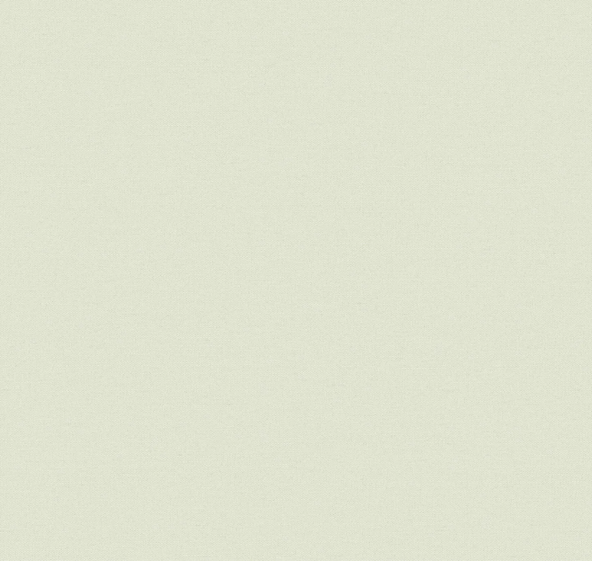 Equator